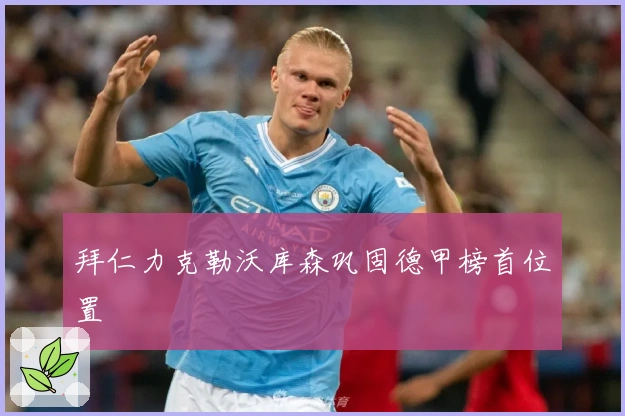 拜仁力克勒沃库森巩固德甲榜首位置